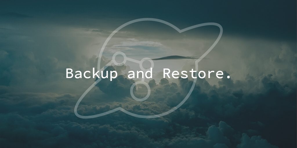 Backup your WordPress website and gain the insurance from attacks and downtime.