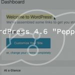 WordPress 4.6 Update "Pepper"